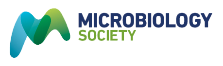 microbiology society